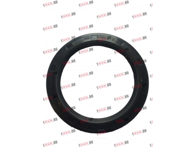 Сальник 100х130х12 Европа ЕВРОПА 030.214-00A фото 1 Норильск