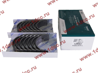 Вкладыши коренные WD618 (комплект) SH SHAANXI / Shacman (ШАНКСИ / Шакман) 61800010128/132 фото 1 Норильск