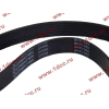 Ремень 8PK1062 ручейковый (Евро З) CREATEK CREATEK 612600020251/CK8024 фото 2 Норильск