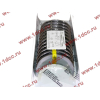 Вкладыши шатунные WP12 (комплект) SH HUATAI SHAANXI / Shacman (ШАНКСИ / Шакман) 612630020018/19 фото 2 Норильск
