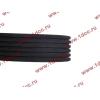 Ремень 6PK1020 кондиционера H3 CREATEK CREATEK WG1500130016/CK8021 фото 3 Норильск