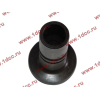 Стакан штанги-толкателя двигатель TD226B6G LONGGONG Lonking CDM (СДМ) 12273399 фото 4 Норильск